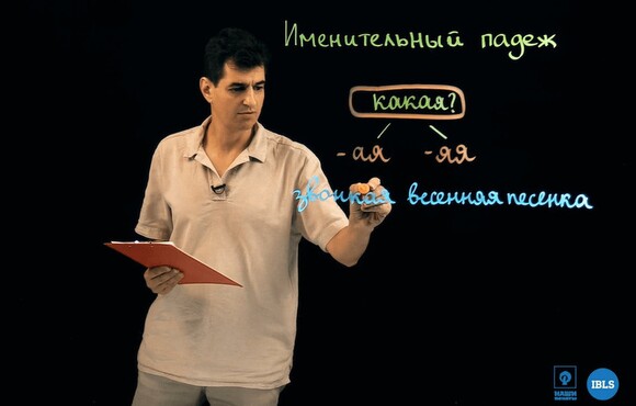 В исследовательском институте проводятся попытки расшифровать язык дельфинов вид компьютера